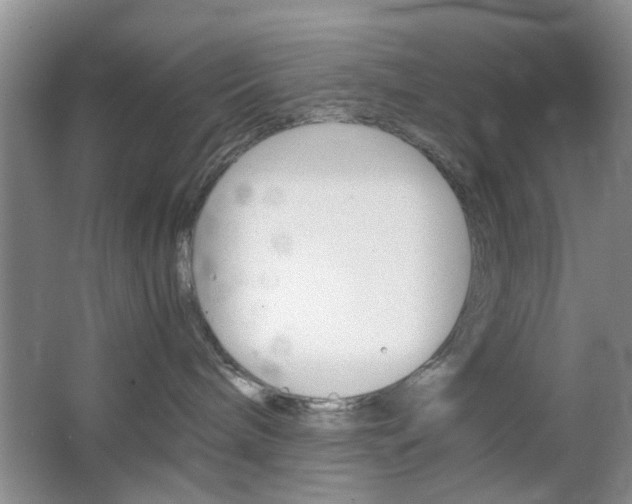 X0000067460240200604070935