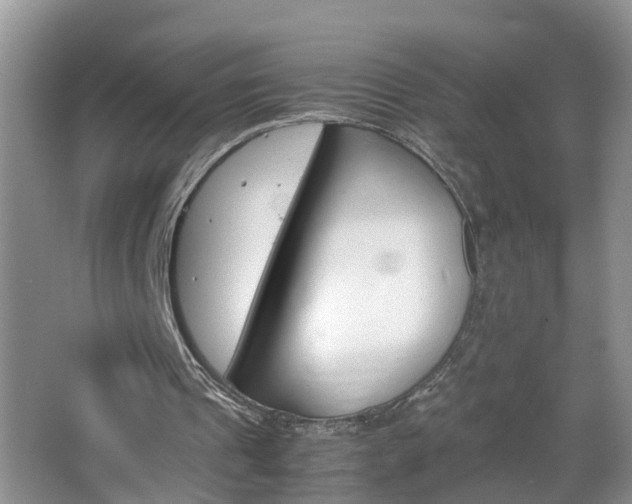 X0000067460241200604070934