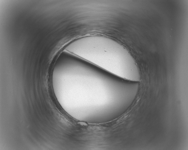 X0000067460242200604070934