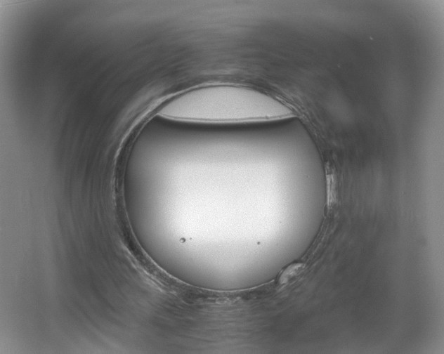 X0000067460243200604070934