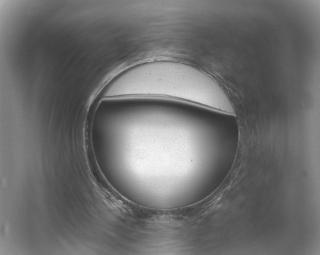 X0000067460244200604070934