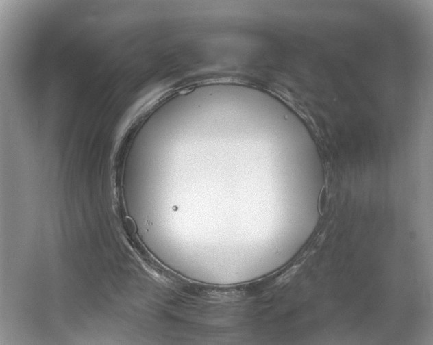 X0000067460245200604070934