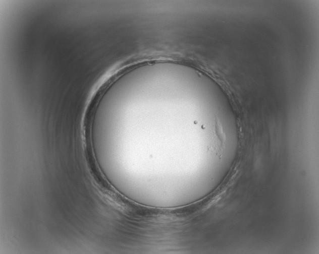 X0000067460246200604070934