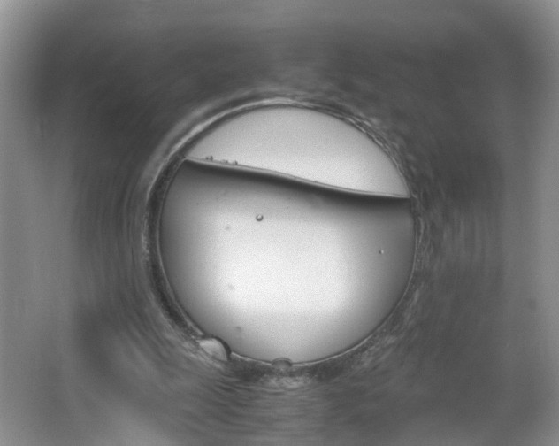 X0000067460247200604070934