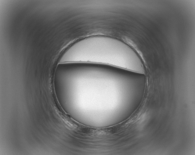 X0000067460249200604070934