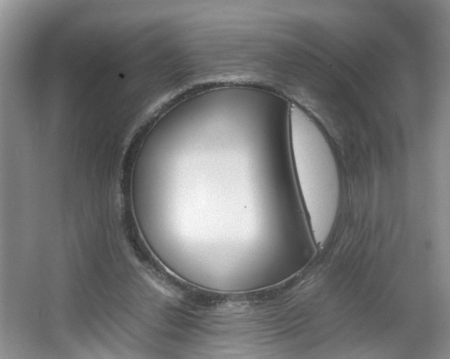 X0000067460252200604070934