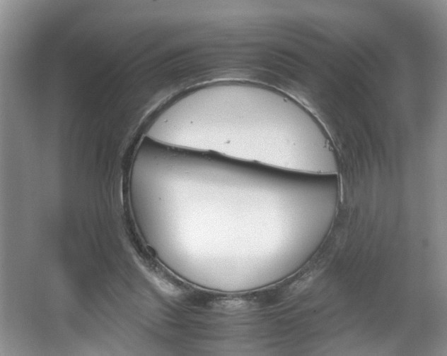 X0000067460253200604070934