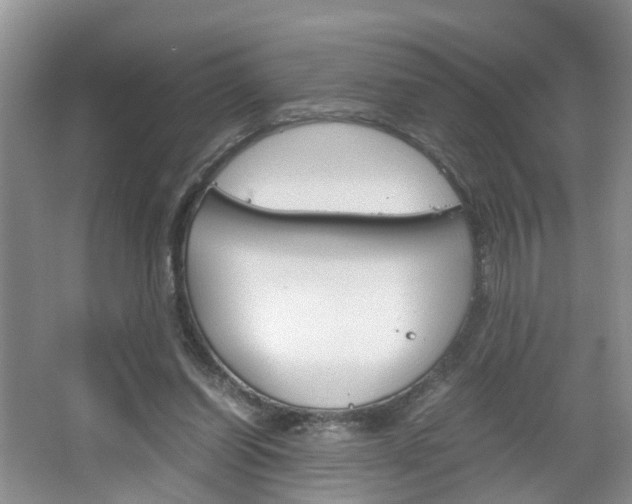 X0000067460254200604070934