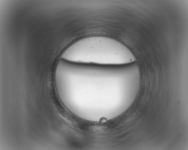 X0000067460255200604070934