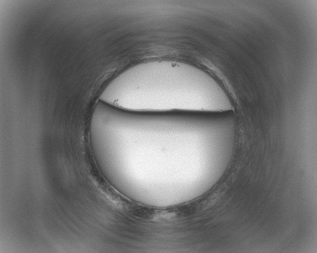 X0000067460257200604070934