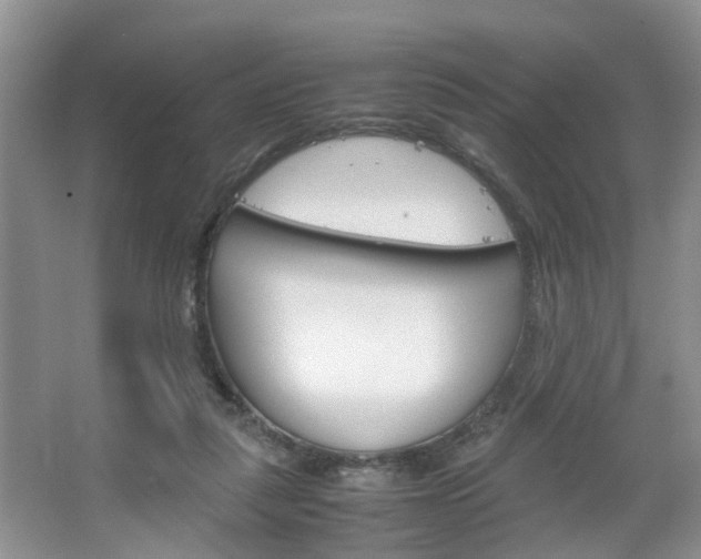 X0000067460259200604070934