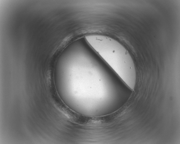 X0000067460260200604070934