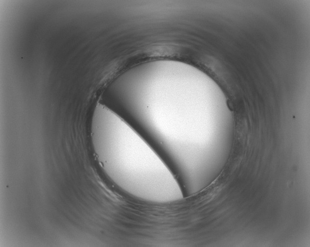 X0000067460261200604070934