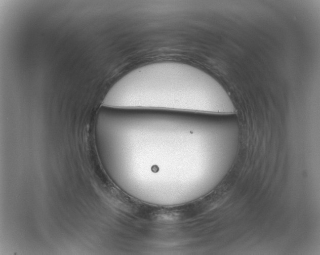 X0000067460263200604070934