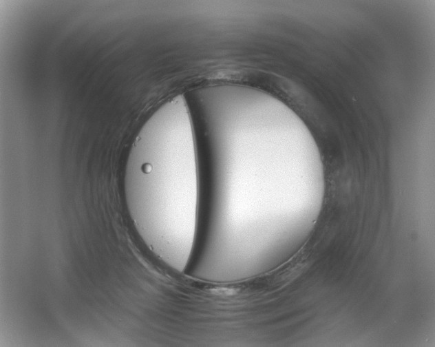 X0000067460265200604070934