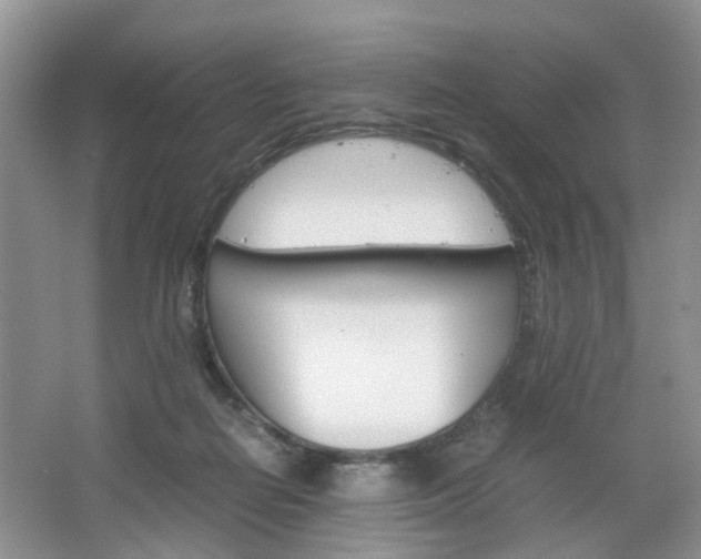 X0000067460266200604070934