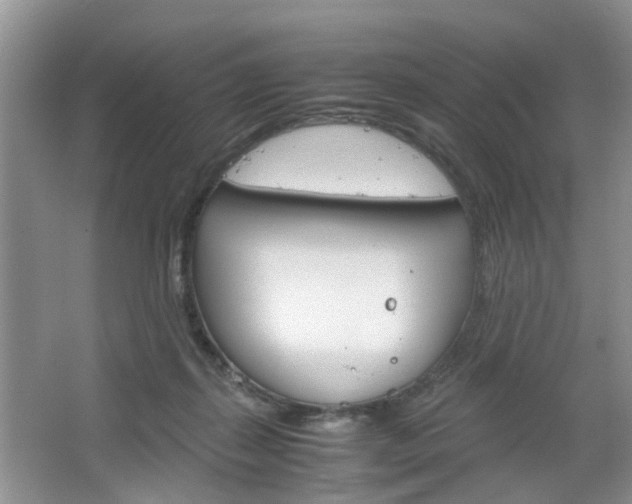 X0000067460267200604070934