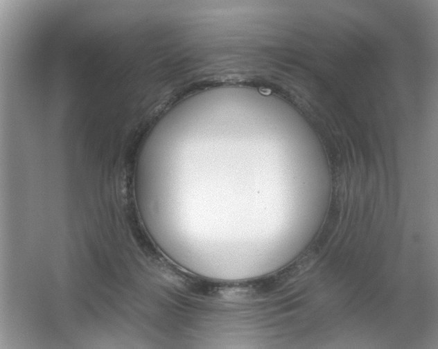 X0000067460268200604070934