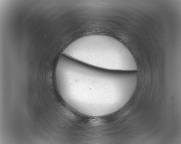 X0000067460269200604070934