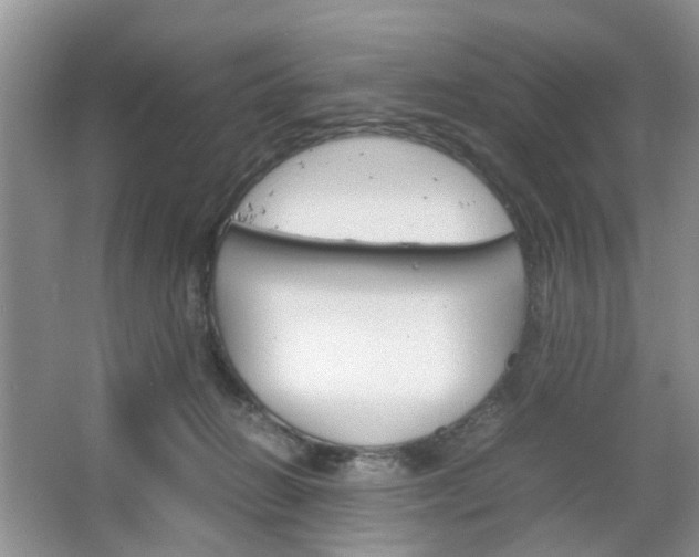 X0000067460270200604070934