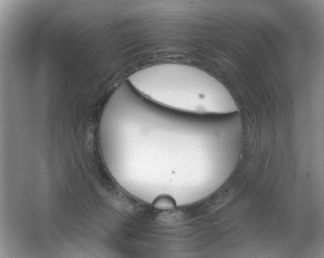 X0000067460271200604070934