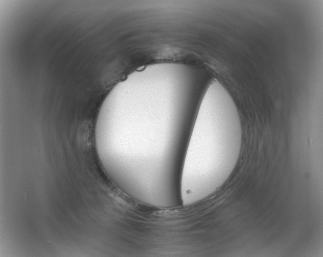 X0000067460273200604070934