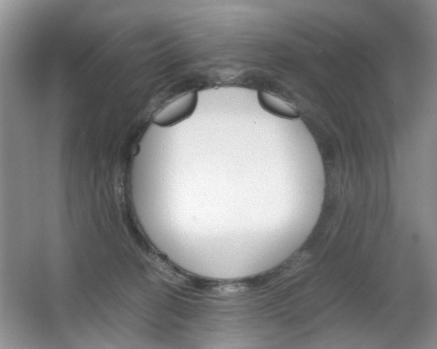 X0000067460274200604070934