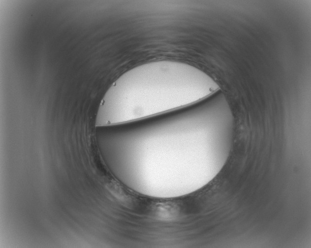 X0000067460275200604070934