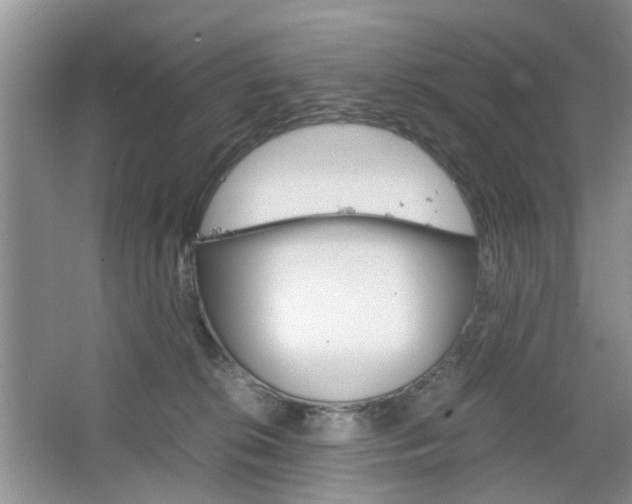 X0000067460276200604070934