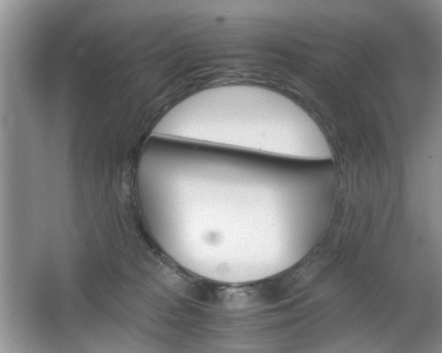 X0000067460277200604070934