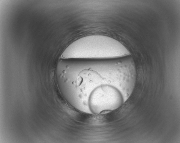 X0000067460278200604070934