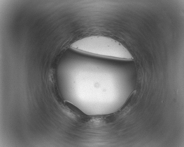 X0000067460280200604070934