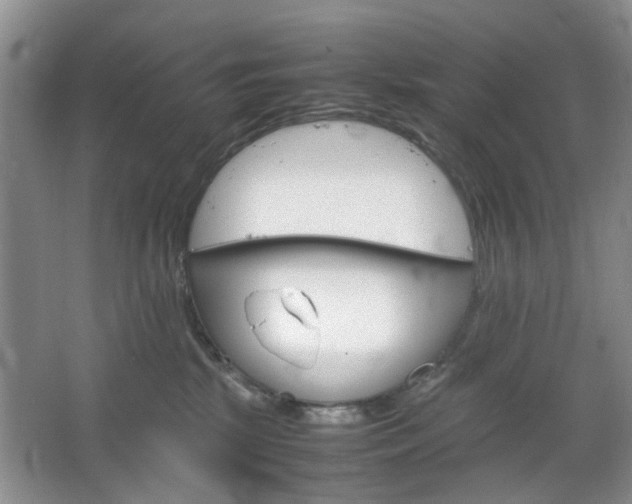 X0000067460281200604070934