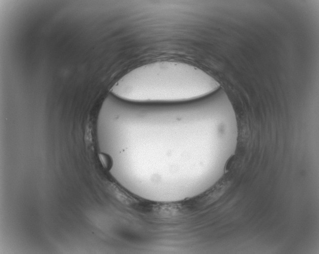 X0000067460282200604070934