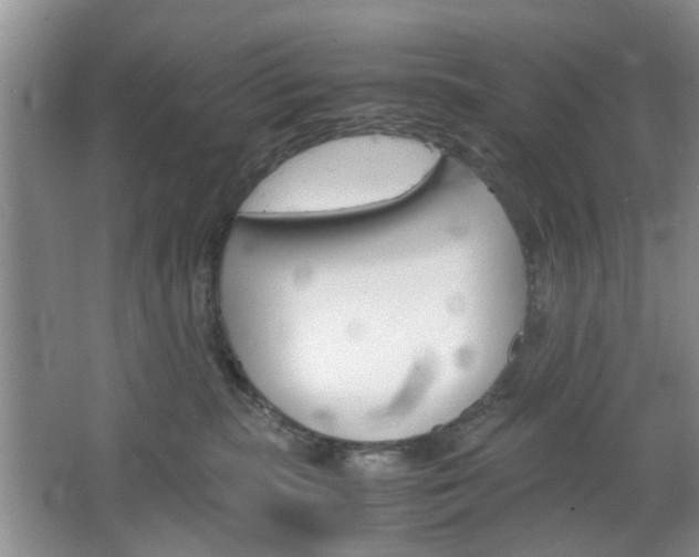 X0000067460283200604070934