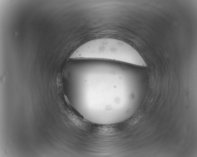 X0000067460284200604070935