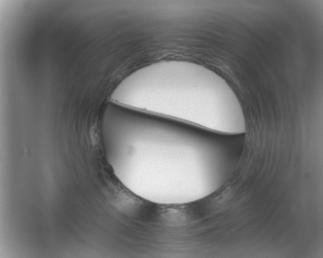 X0000067460285200604070935