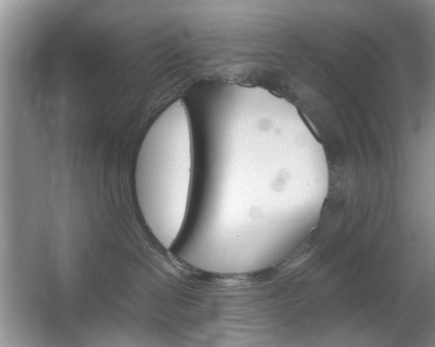 X0000067460286200604070935