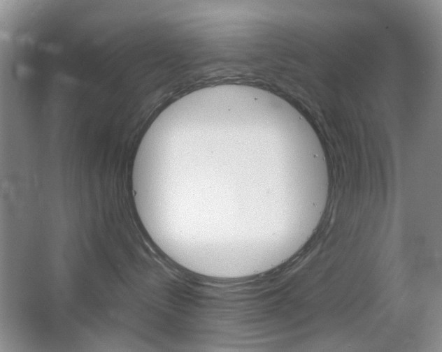 X0000067460288200604070935