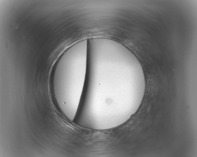 X0000067460290200604070934