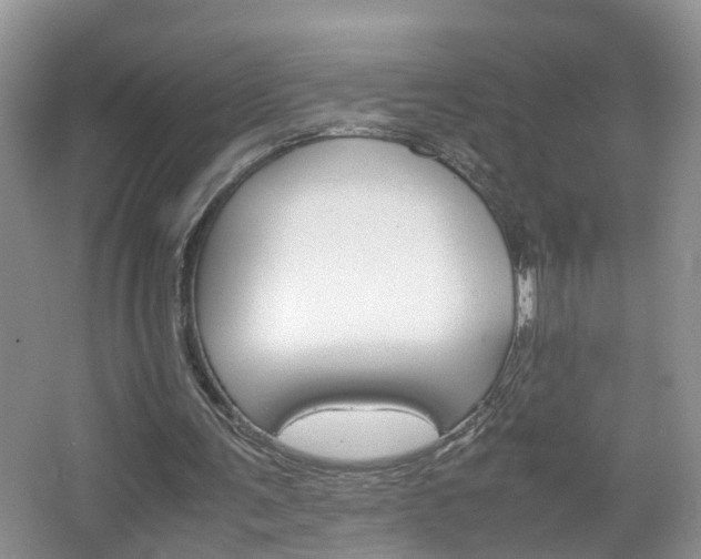 X0000067460291200604070934