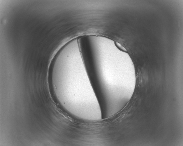 X0000067460292200604070934