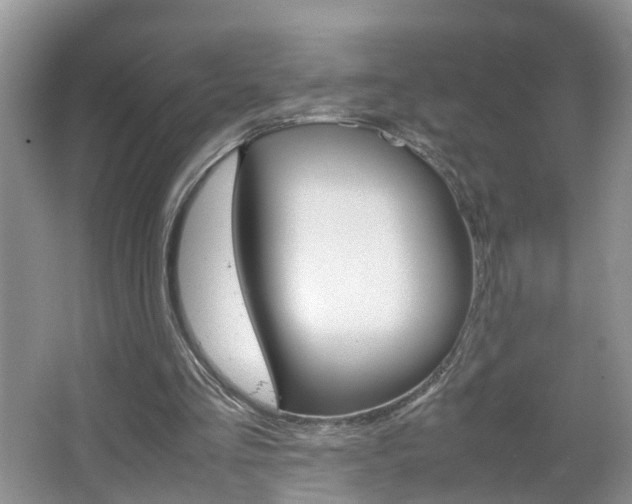 X0000067460293200604070934