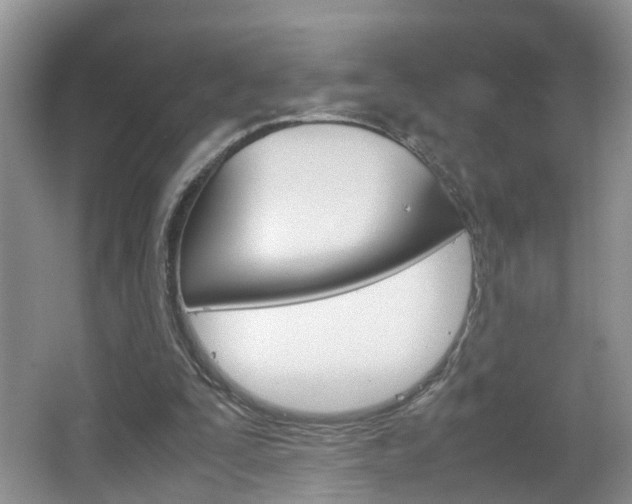 X0000067460295200604070934