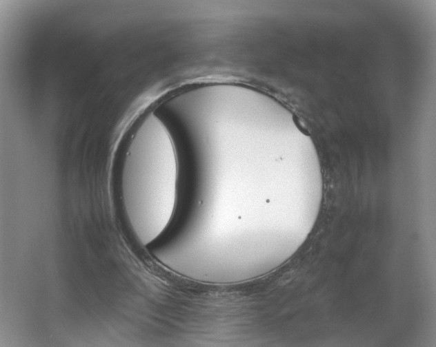 X0000067460296200604070934