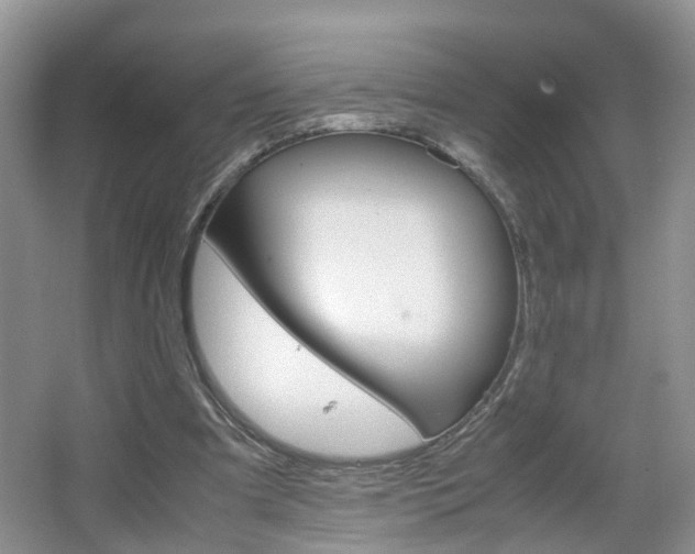 X0000067460297200604070934