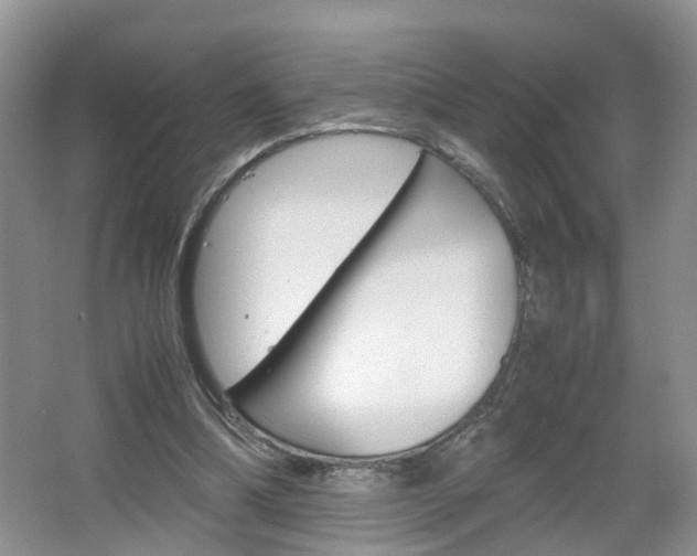 X0000067460298200604070934