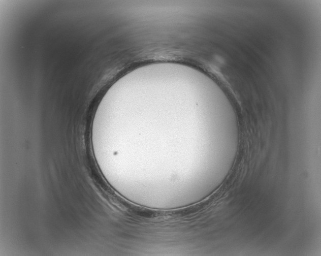 X0000067460299200604070934