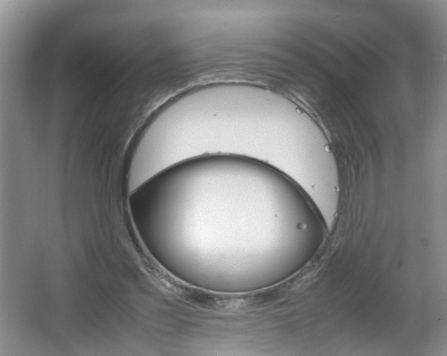 X0000067460301200604070934