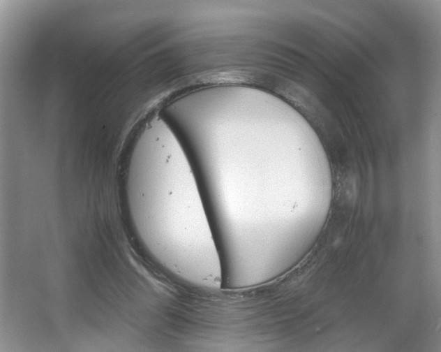 X0000067460302200604070934